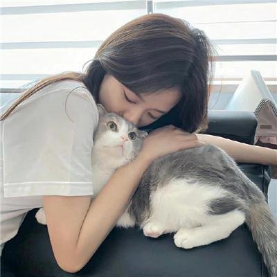 谍网纵横